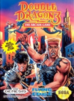 Obal-Double Dragon 3 - The Rosetta Stone