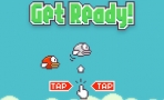 Obal-Flappy Bird