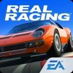 Obal-Real Racing 3