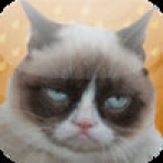 Grumpy Cat: Unimpressed