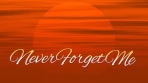 Obal-Never Forget Me