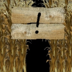 Obal-Corn Maze