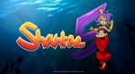 Obal-Shantae 5