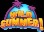 Obal-Wild Summer