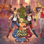 Obal-Double Dragon Gaiden: Rise of the Dragons