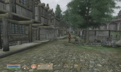 Screen ze hry Elder Scrolls IV: Oblivion, The