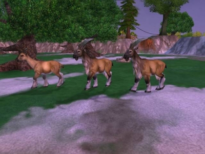 Screen ze hry Zoo Tycoon 2: Endangered Species