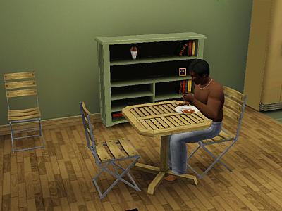 Screen ze hry The Sims 3