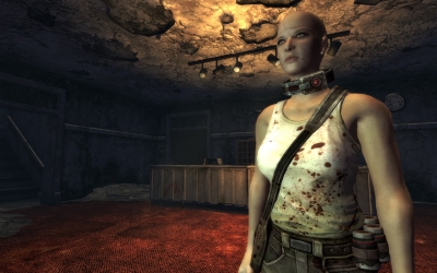 Screen ze hry Fallout New Vegas: Dead Money