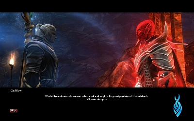 Screen ze hry Kingdoms of Amalur Reckoning