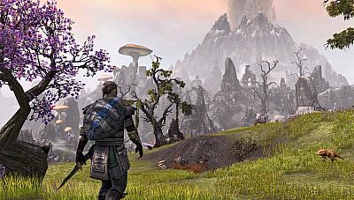 Screen ze hry Elder Scrolls Online