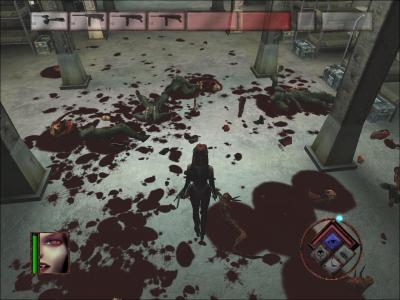 Screen ze hry BloodRayne