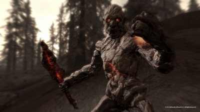 Screen ze hry The Elder Scrolls V: Skyrim - Dragonborn