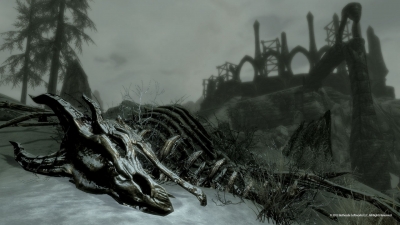 Screen ze hry The Elder Scrolls V: Skyrim - Dragonborn