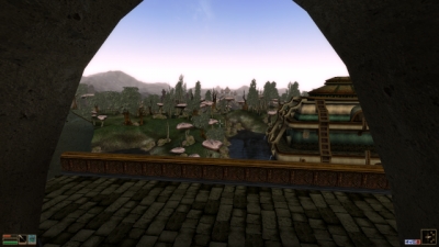 Screen ze hry Elder Scrolls III: Morrowind, The