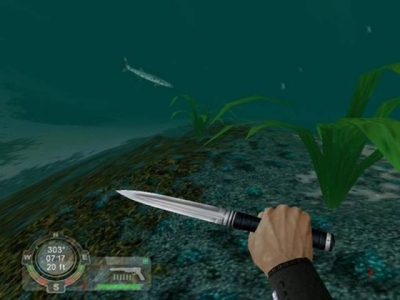 Screen ze hry Shark! Hunting the Great White