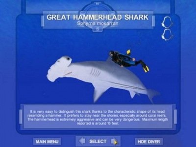 Screen ze hry Shark! Hunting the Great White