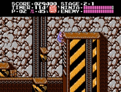 Screen ze hry Ninja Gaiden