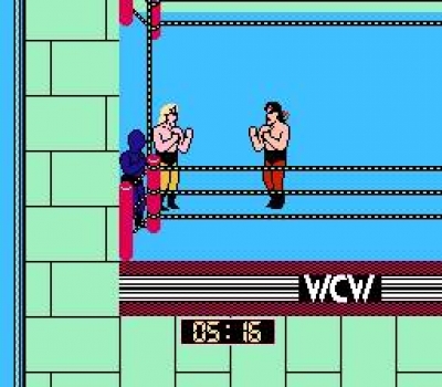 Screen ze hry World Championship Wrestling