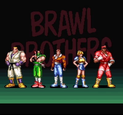 Screen ze hry Brawl Brothers