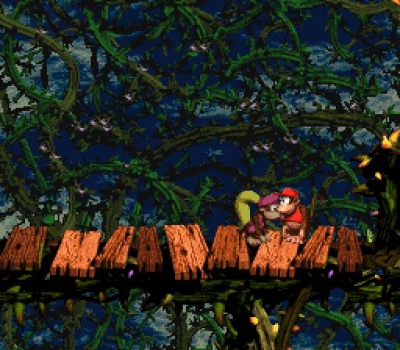 Screen ze hry Donkey Kong Country 2: Diddys Kong Quest