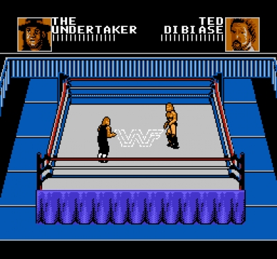 Screen ze hry WWF WrestleMania: Steel Cage Challenge