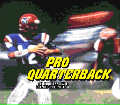 Screen ze hry Pro Quarterback