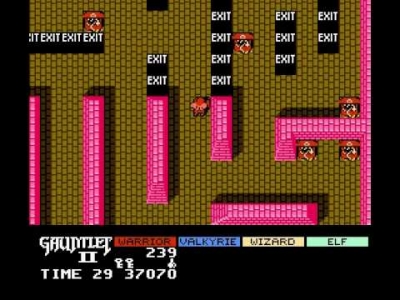 Screen ze hry Gauntlet II