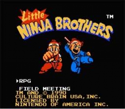 Screen ze hry Little Ninja Brothers