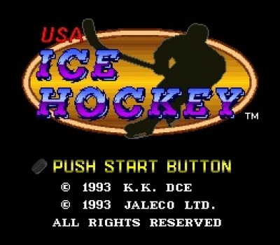 Screen ze hry Pro Sport Hockey