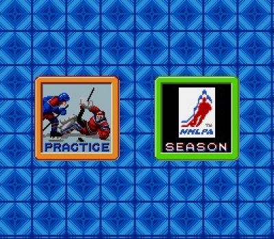 Screen ze hry Pro Sport Hockey