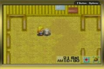 Screen ze hry Harvest Moon: More Friends of Mineral Town