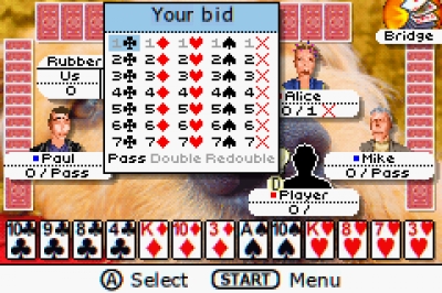 Screen ze hry Ultimate Card Games