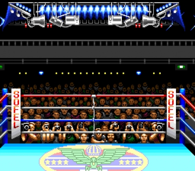 Screen ze hry TKO Super Championship Boxing