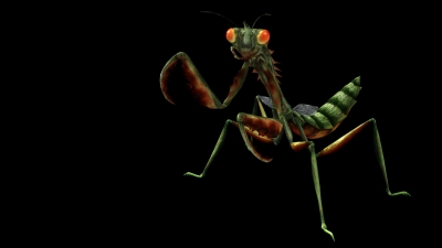 Artwork ke hře Escape from Bug Island