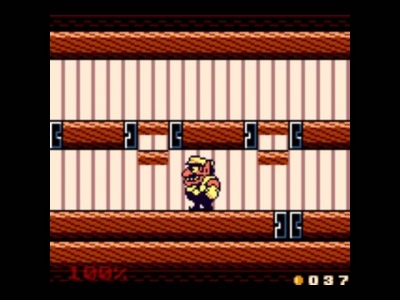 Screen ze hry Wario Land II