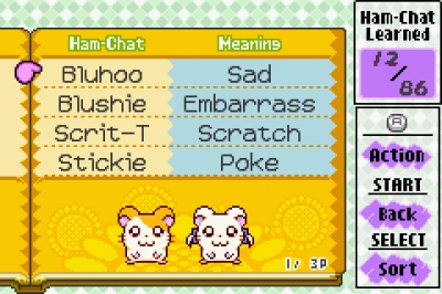 Screen ze hry Hamtaro: Ham-Ham Heartbreak