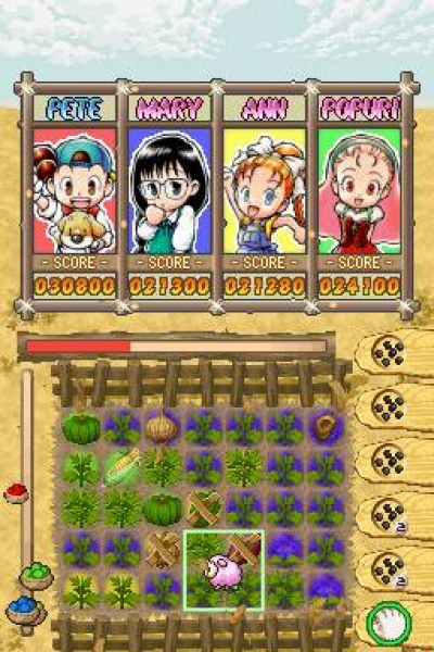 Screen ze hry Puzzle de Harvest Moon