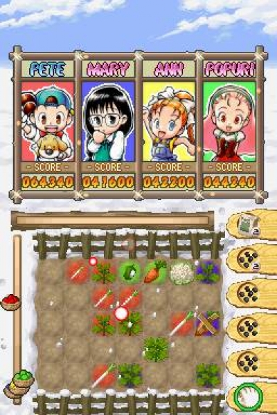 Screen ze hry Puzzle de Harvest Moon