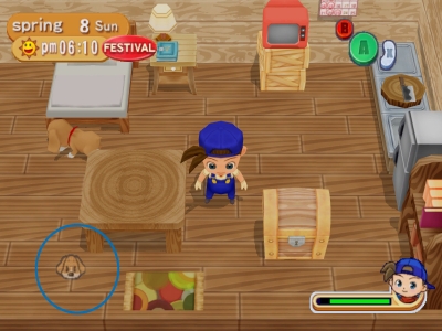 Screen ze hry Harvest Moon: Magical Melody