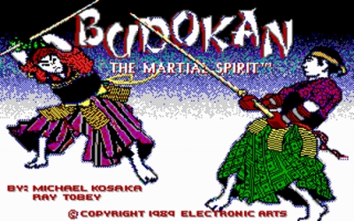 Screen ze hry Budokan: The Martial Spirit