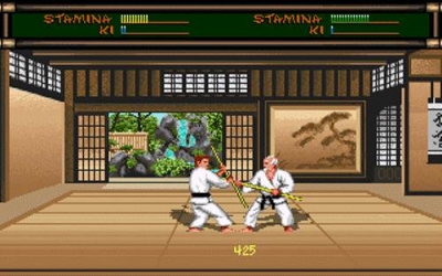 Screen ze hry Budokan: The Martial Spirit