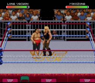 Screen ze hry WWF Raw