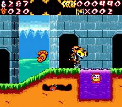 Screen ze hry Chester Cheetah: Wild Wild Quest