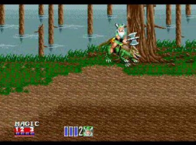 Screen ze hry Golden Axe II