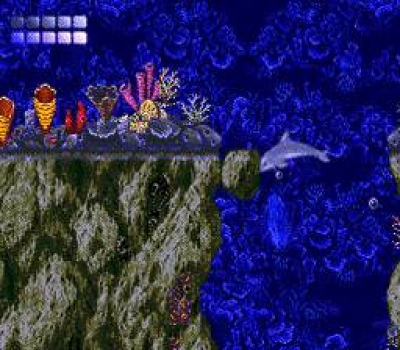 Screen ze hry Ecco the Dolphin