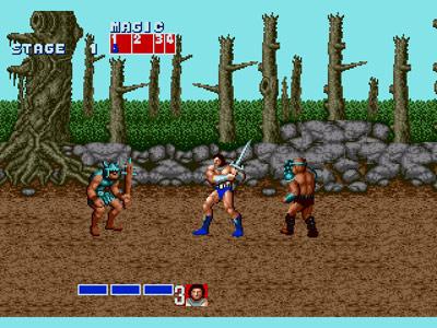 Screen ze hry Golden Axe