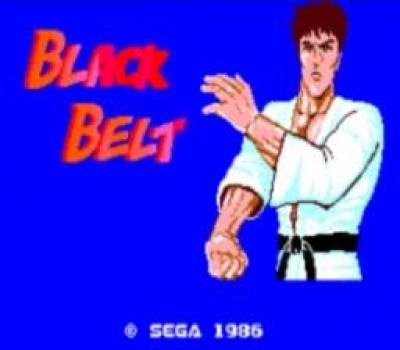 Screen ze hry Black Belt
