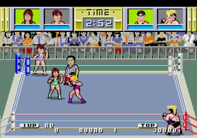 Screen ze hry Pro Wrestling