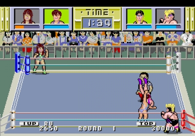 Screen ze hry Pro Wrestling